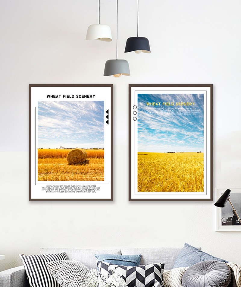 Cách đồng vàng CBT2-033kg